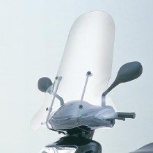 Parbriz scuter Cygnus inalt