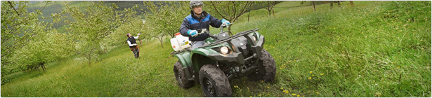 atv.png